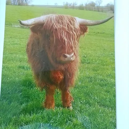 Elisa * Staig (Baden-Wurttemberg)